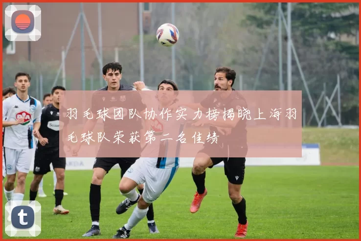 羽毛球团队协作实力榜揭晓上海羽毛球队荣获第二名佳绩