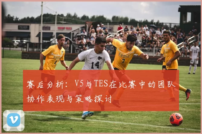 赛后分析：V5与TES在比赛中的团队协作表现与策略探讨